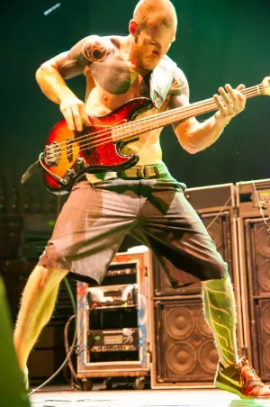 Rage Against the Machine: The Sound of Resistance