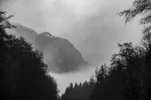 Hidden Beauty in Garibaldi Provincial Park