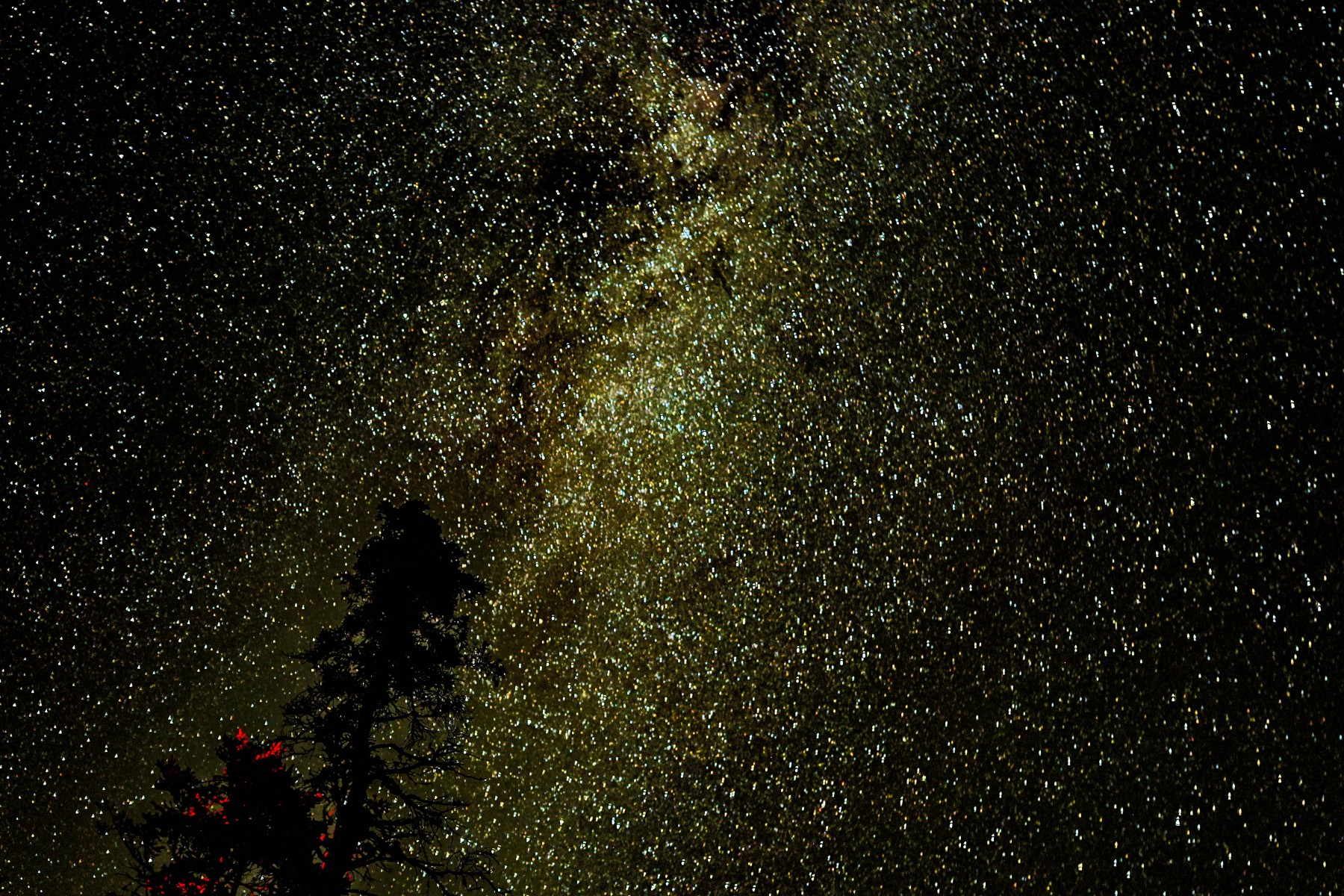 An Ocean of Stars An Ocean of Stars