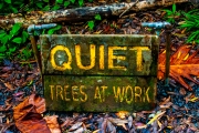 Shhh! Trees at Work