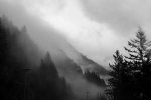 Fog Hides the Valley in Garibaldi Provincial Park