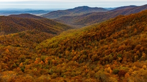 Fall in Shenandoah Nation Park