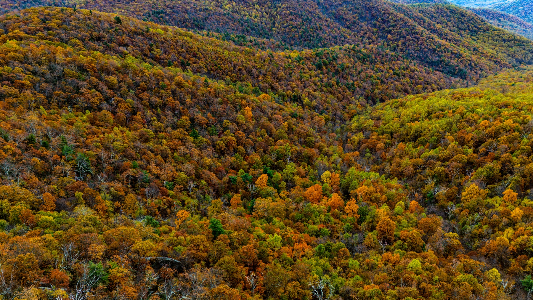 Fall in Shenandoah Nation Park Fall in Shenandoah Nation Park